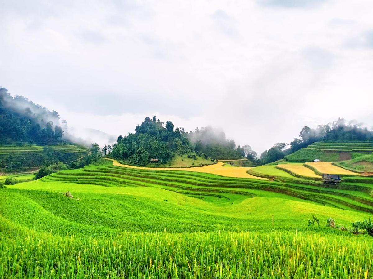 Hoang Su Phi Bungalow Kültér fotó