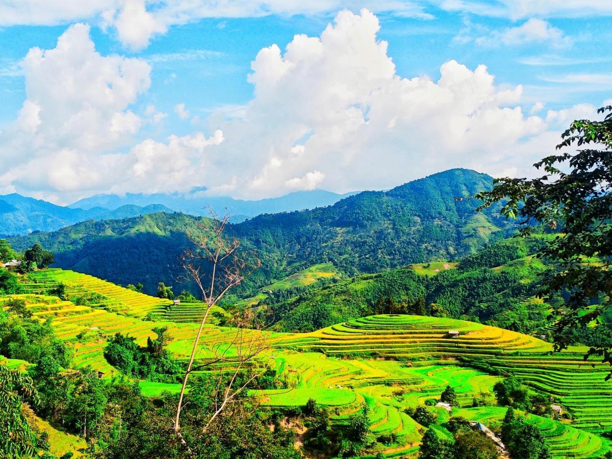 Hoang Su Phi Bungalow Kültér fotó