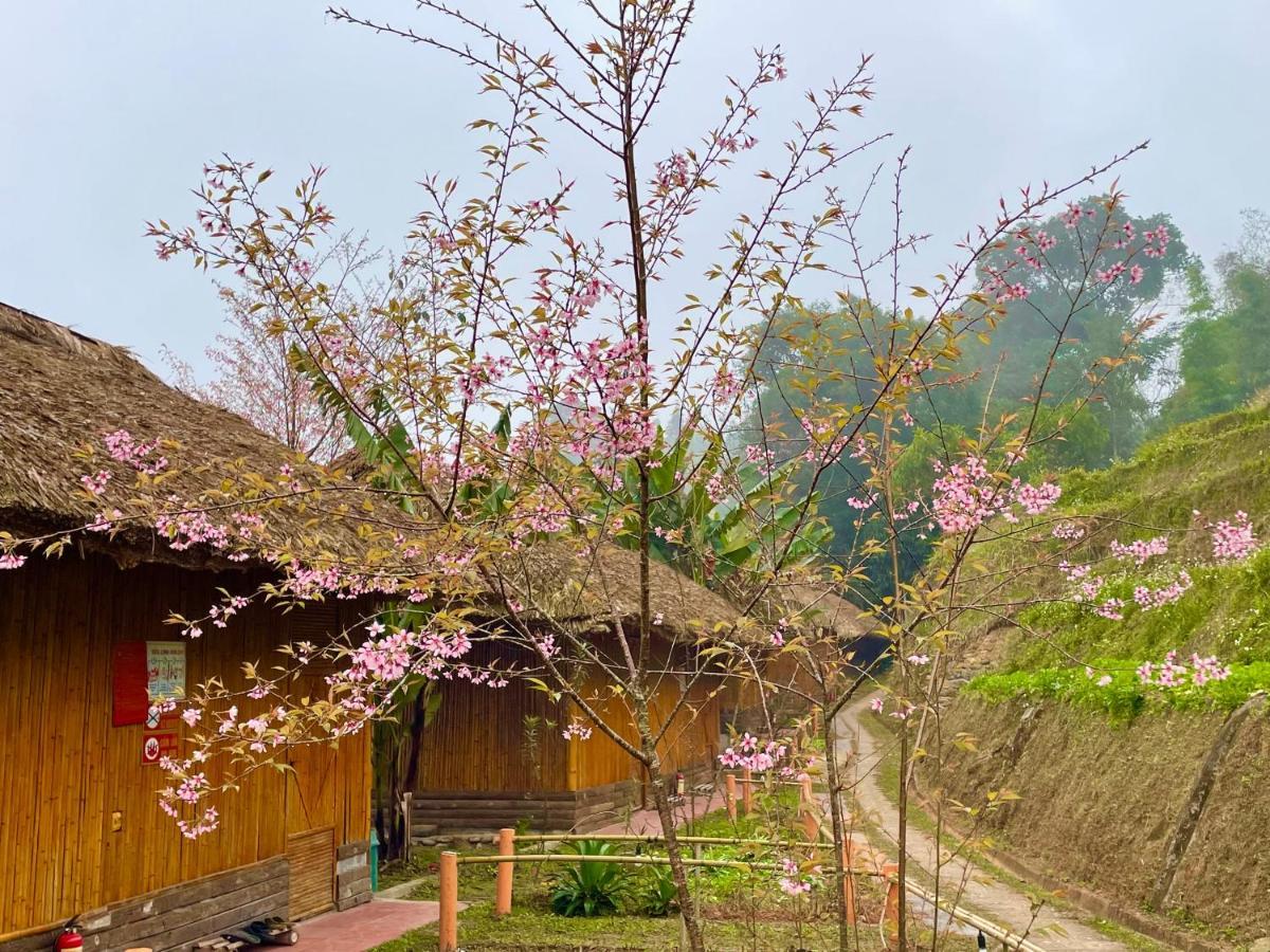 Hoang Su Phi Bungalow Kültér fotó